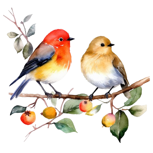 Bird Clipart, Watercolor Landscape, Digital Imagen, Nature