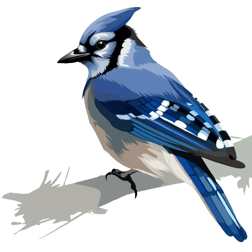 Blue Jay Clipart, Bird In Nature, Watercolor Clipart, Instant Download, Bird Clipart