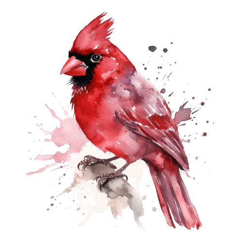 Cardinal Bird Clipart, Landscape Painting, Digital Products, illustration Art, Watercolor Clipart
