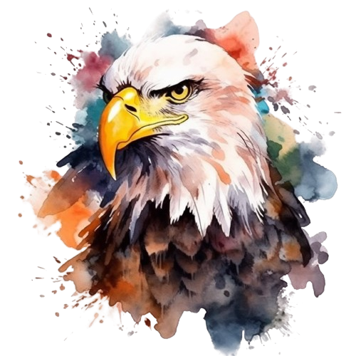 Bald Eagle Clipart, Watercolor Clipart, Digital Prints, Digital Download,Eagle Imagen, Bird Of Prey