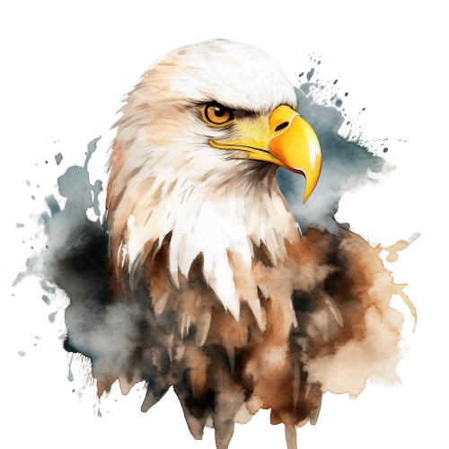 Bald Eagle Watercolor Clipart, Bird Of Prey, Eagle Art, Digital Download, Wall Art, Card Making