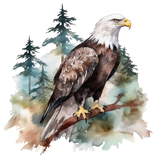 Bald Eagle Clipart, Watercolor Imagen, Printable Watercolor Clipart, Bald Eagle Artwork, Muted Colors